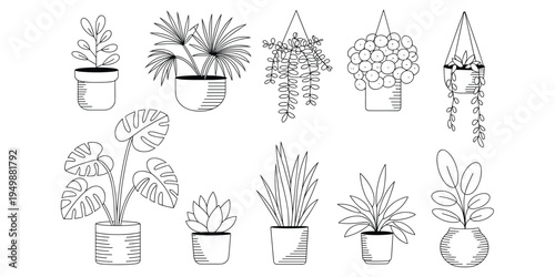 Collection of outline drawings of potted houseplants on a white background Keywords: potted plants, houseplants, outline