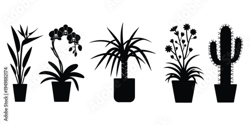 Five black silhouette potted houseplants including orchids and a cactus vector illustration