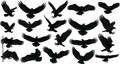 Flying eagle silhouettes collection, majestic bird of prey wings spread vector set, eagle flight poses isolated wildlife illustration pack
