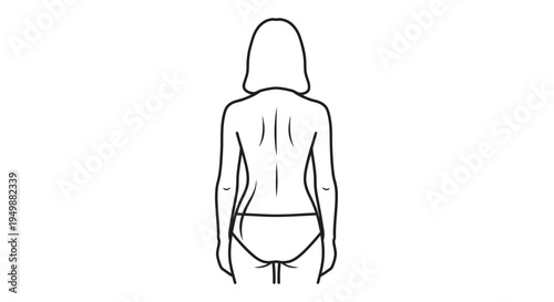 Back view of a woman showing spine, shoulders, and back muscles, line art illustration