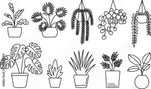 Outline illustrations of various potted and hanging houseplants in a clean line art style vector illustration