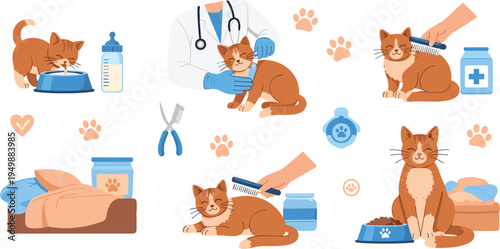 Cat Care and Veterinary Set with Feeding, Grooming, Sleeping and Medical Checkup Domestic Pet Health Vector Illustration