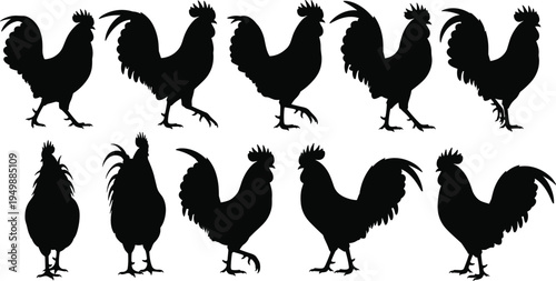 Rooster silhouettes collection, farm chicken cock bird poultry animal rural agriculture symbol isolated vector illustration set
