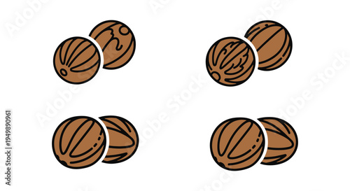 Ground Nutmeg Line art vector modern pastel abstract color illustration