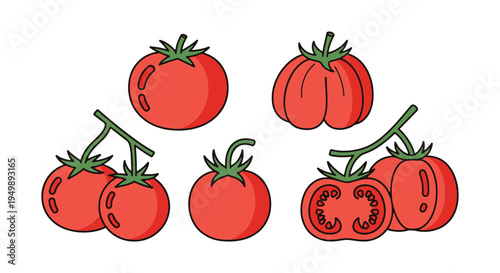 Heirloom Tomato Line art creative artistic abstract style vector