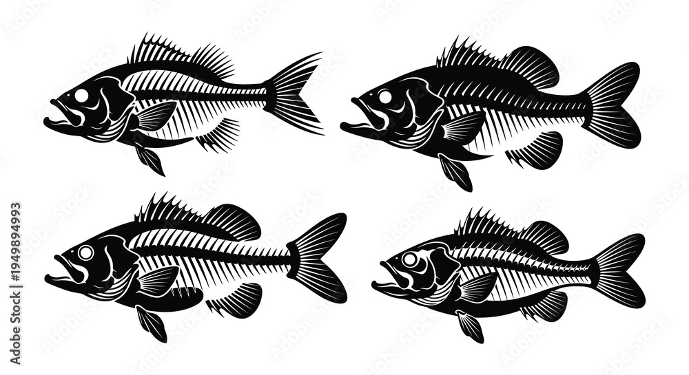 Εκτύπωση καμβά Anatomical illustration of five fish skeletons in a vintage style