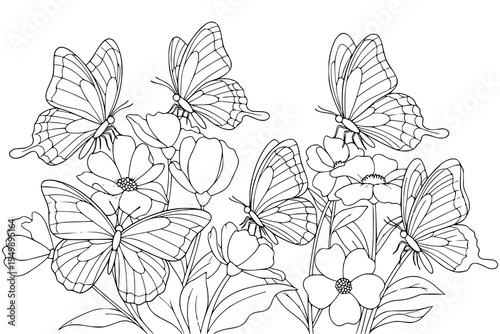 Butterflies and Flowers Garden Vector Illustration Outline for Coloring Book