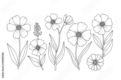 Wildflower Meadow Field Vector Illustration Outline for Coloring Book