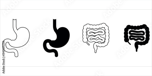 Detailed black and white illustration of the human digestive system, including esophagus, stomach, intestines, and colon. Ideal for medical, educational, and health-related content.