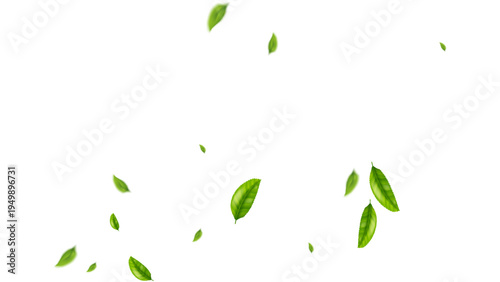green leaf flying vector background