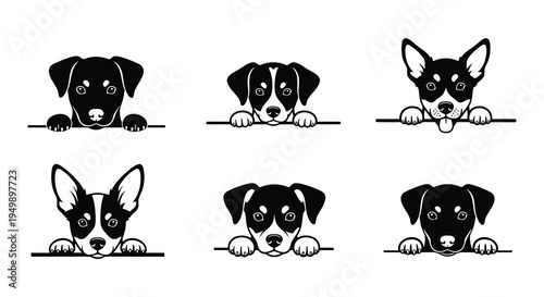 Six adorable puppy faces peek over a solid line black and white