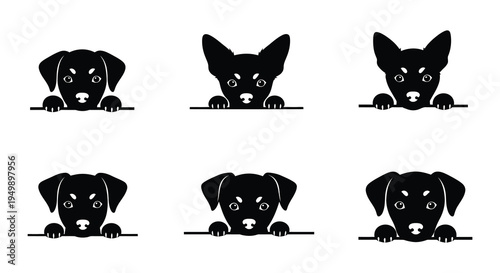 Six adorable puppy faces peek over a solid line black and white