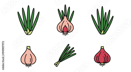 Garlic Chives Line art vector geometric abstract color