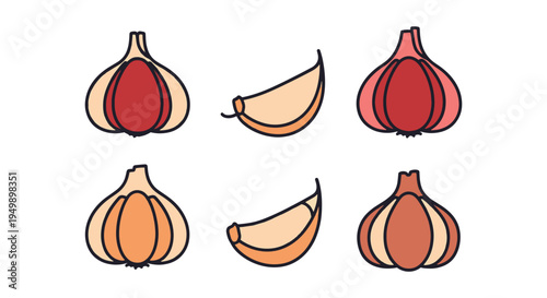 Garlic Clove Line art vector creative abstract color design