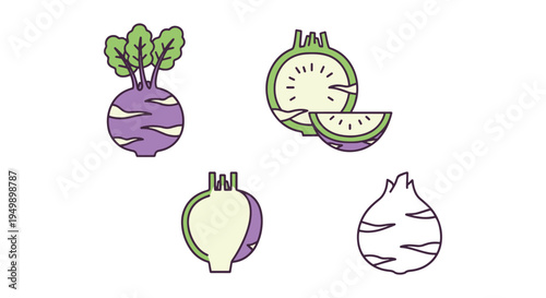 Kohlrabi Line art vector set colorful creative abstract illustration