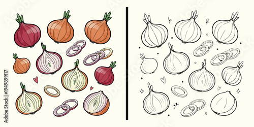 Onion vegetable illustration set, fresh onion food drawing design, organic onion vegetable artwork, kitchen onion ingredient illustration, onion food clipart collection, healthy vegetable onion design
