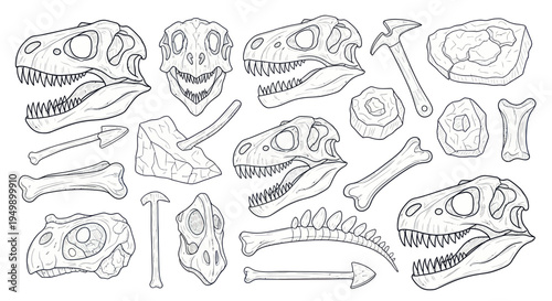 Dinosaur Skeletons and Fossils Collection - Hand-Drawn Illustration