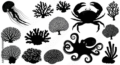 Marine Life Silhouettes: Jellyfish, Crab, Octopus, Coral Collection