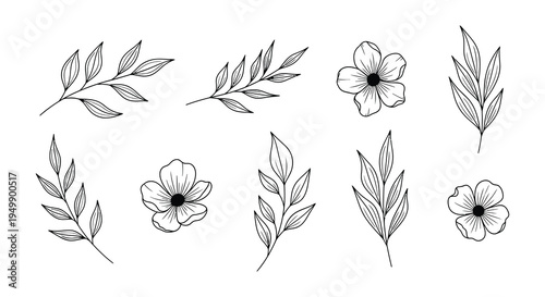 Collection of delicate floral line art arrangements in black and white