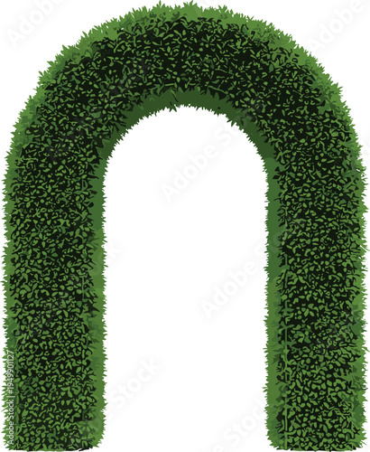 Garden hedge arch topiary greenery archway landscaping plant decoration vector illustration