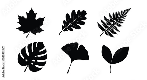 A collection of six different black silhouette leaf shapes
