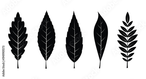 A collection of six different black silhouette leaf shapes