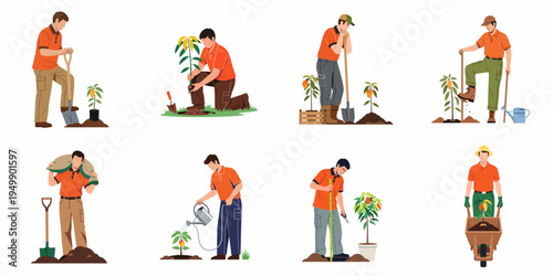 Set of male gardeners planting and caring for fruit trees, including digging, watering, pruning, and using a wheelbarrow in a modern flat illustration.