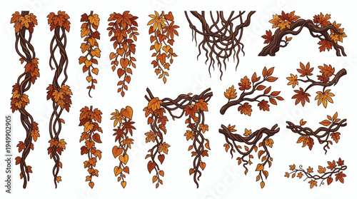 Collection of hand drawn autumn vines with orange and brown leaves and tangled woody lianas isolated on white background, symbolizing seasonal forest decoration and nature themed illustration