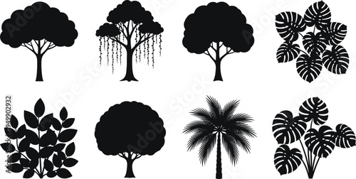 Black silhouette collection of diverse trees, palms, vines, and monstera leaves arranged in rows for botanical illustration, landscape design, educational resources, and creative graphic use