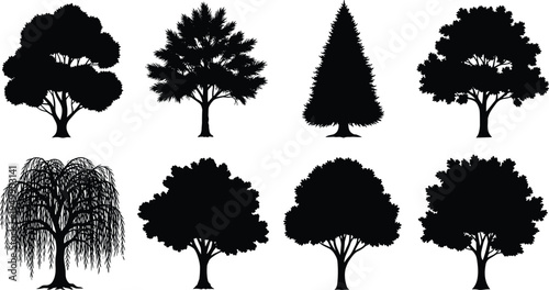Black silhouette collection of eight diverse trees including conifer, deciduous, willow, and broadleaf varieties arranged in rows for botanical illustration, landscape design, education, and creative