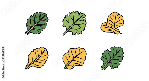 Fried Kale Chips Line art soft clean abstract vector