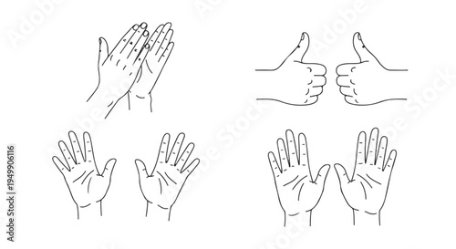 Line art hand gestures set. Clapping, thumbs up, and open palms. Isolated vector illustration. isolated PNG with Transparent Background