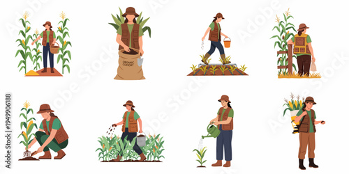 Flat illustration set featuring a female farmer performing various agricultural tasks including planting, watering, fertilizing, and harvesting corn in a field.