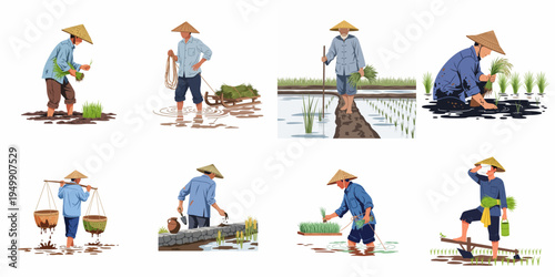 Collection of Vector Illustrations Showing Traditional Asian Rice Farmers Working in Paddy Fields, Planting, Carrying Baskets, and Harvesting Crops.