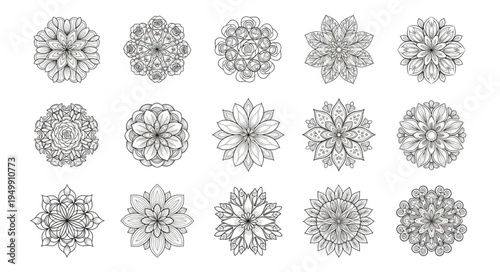 Collection of Intricate Floral Mandala Designs in Black and White.