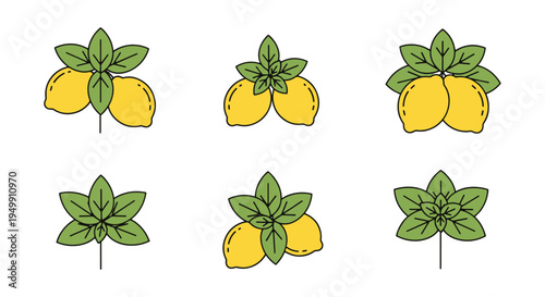 Lemon Basil Line art vector minimal elegant abstract