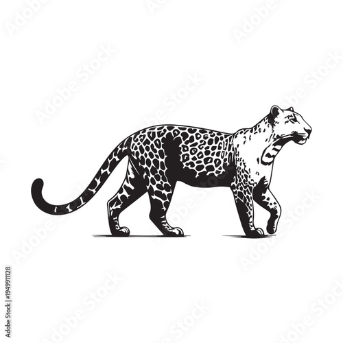 leopard vector silhouette