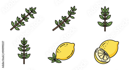 Lemon Thyme Line art vector modern pastel abstract color