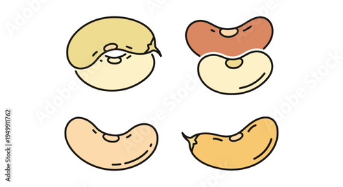 Lima Beans Line art vector creative contemporary abstract color illustration