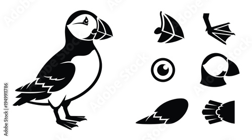 Atlantic puffin bird vector illustration set featuring puffin body head with large beak eye webbed foot and wing icons isolated