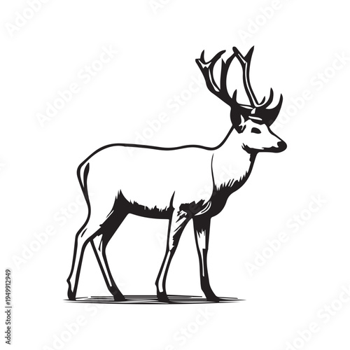 black and white silhouette of a deer
