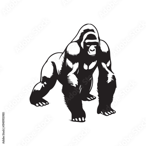 vector illustration of a gorilla