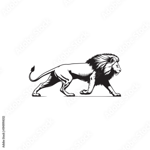 black and white lion vector illustration