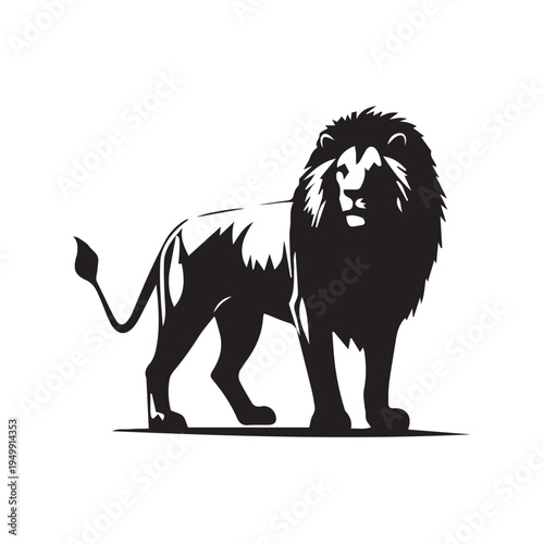 vector lion on a white background