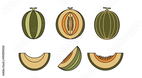 Melons Line art vector set dynamic abstract artistic
