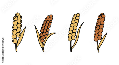 Millet Line art vector set modern dynamic abstract color