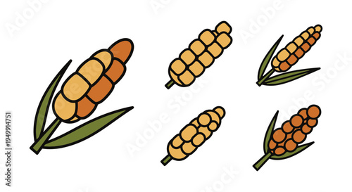 Millet Line art vector set vivid abstract color illustration