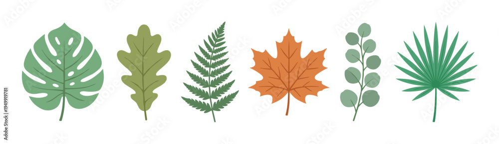 Fototapeta premium Set of various illustrated plant leaves including monstera, oak, fern, maple, eucalyptus, and palm, showcasing a flat design style with natural green and orange colors for botanical concepts