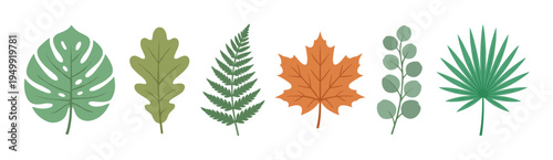 Set of various illustrated plant leaves including monstera, oak, fern, maple, eucalyptus, and palm, showcasing a flat design style with natural green and orange colors for botanical concepts