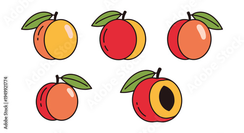 Nectarine Line art vector set minimal smooth abstract color